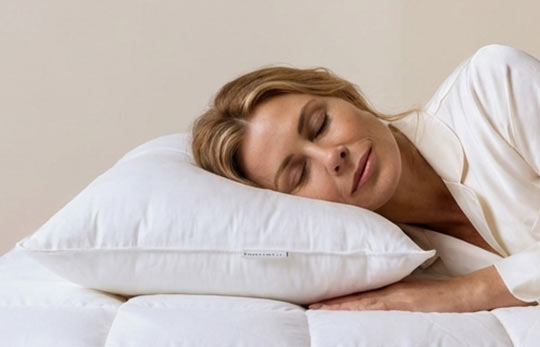 na polštáři vycpaném husím peřím a prachovým peřím.